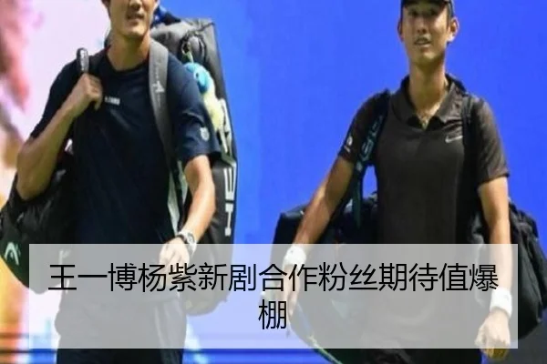 王一博杨紫新剧合作粉丝期待值爆棚